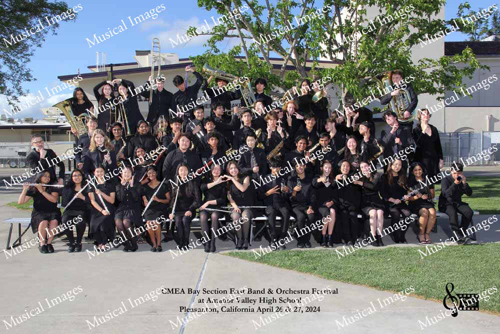Musical Images
